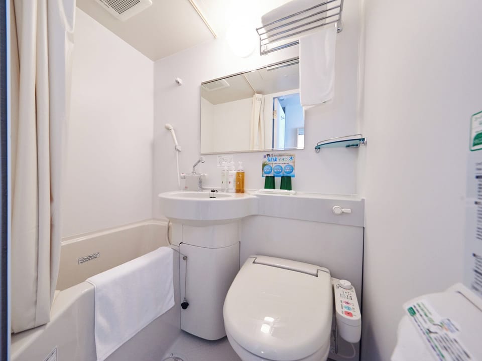 Combined shower/tub, hair dryer, towels, shampoo
