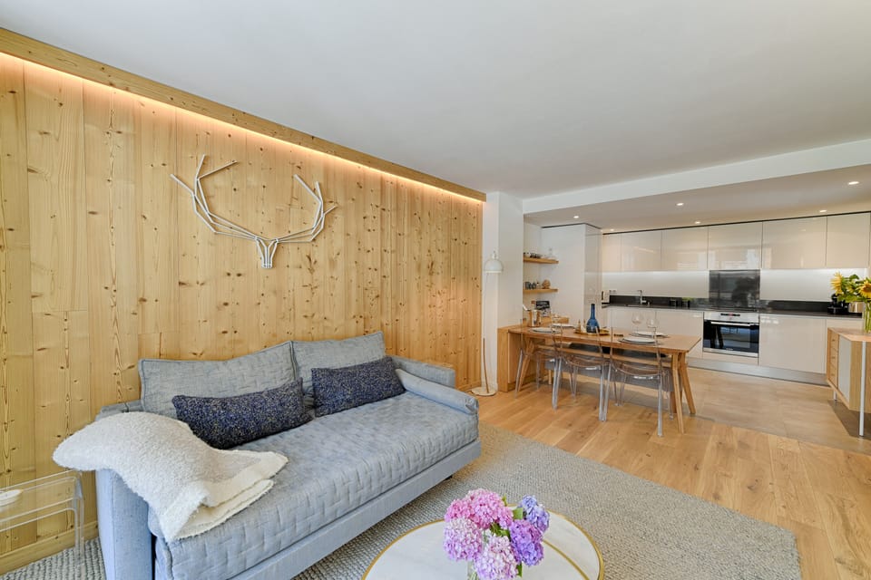 The apartment: ultra-comfortable stylish sofa bed