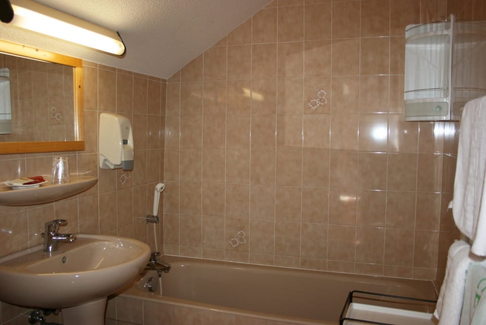Combined shower/tub, hair dryer