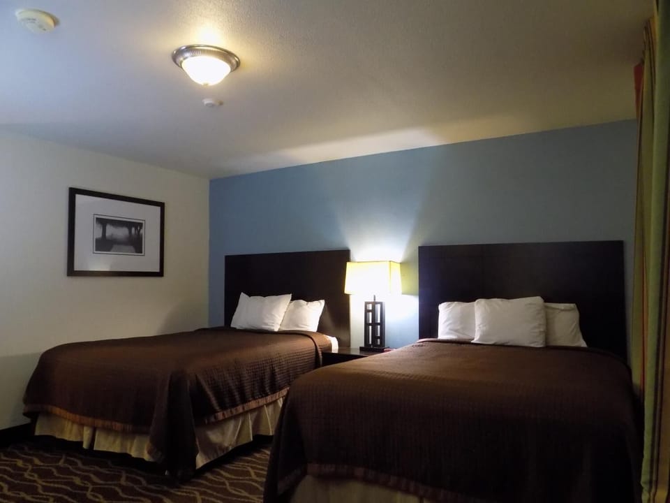 Blackout drapes, WiFi (free), bed sheets
