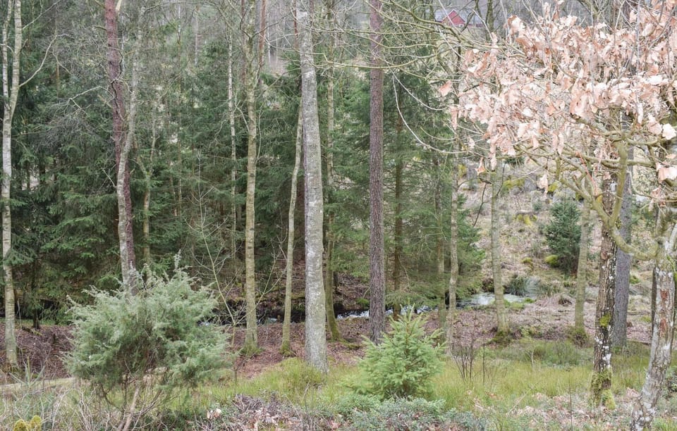 area