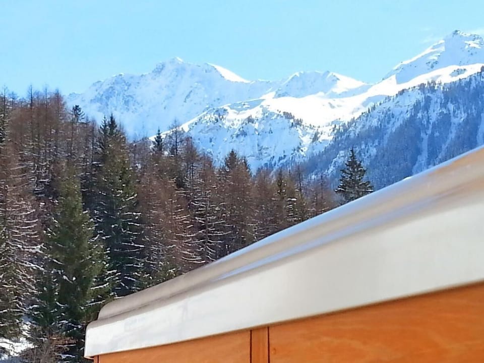 Chalet, 350m from ski lifts, terrace, balcony, fireplace or stove, parking, tv, ski locker, 195m² Chalet in Landry