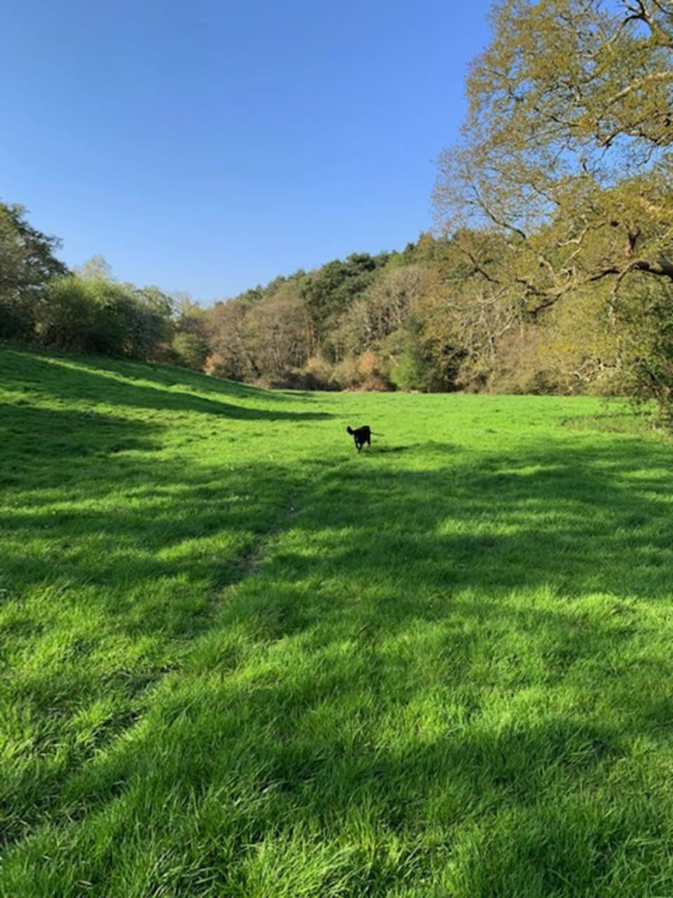 Hiking