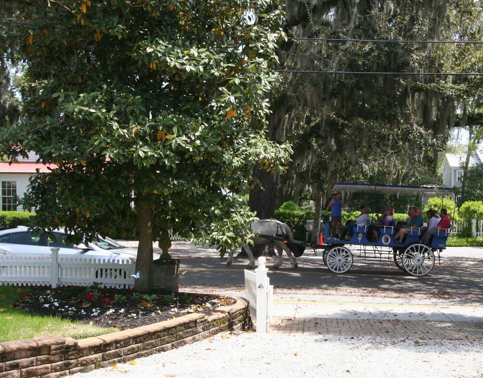 Horse and carriage
