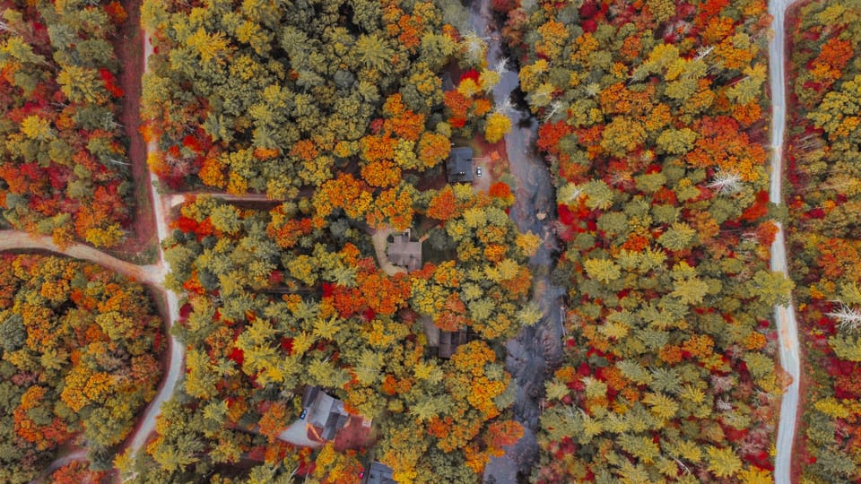 Fall Colors