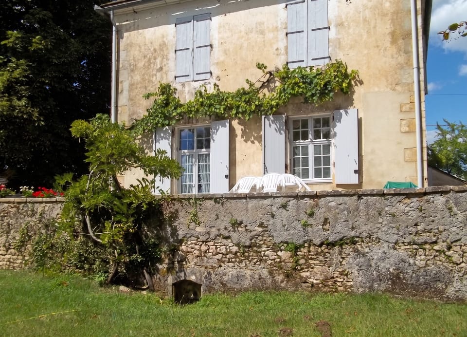 Front view