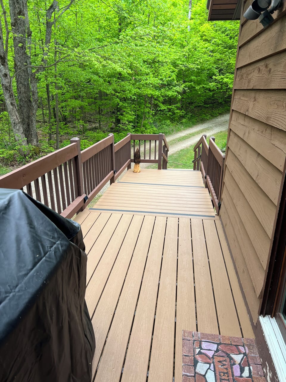 Side deck off kitchen with grill