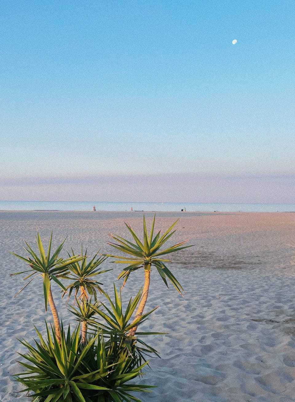 Have a great beach holiday!
