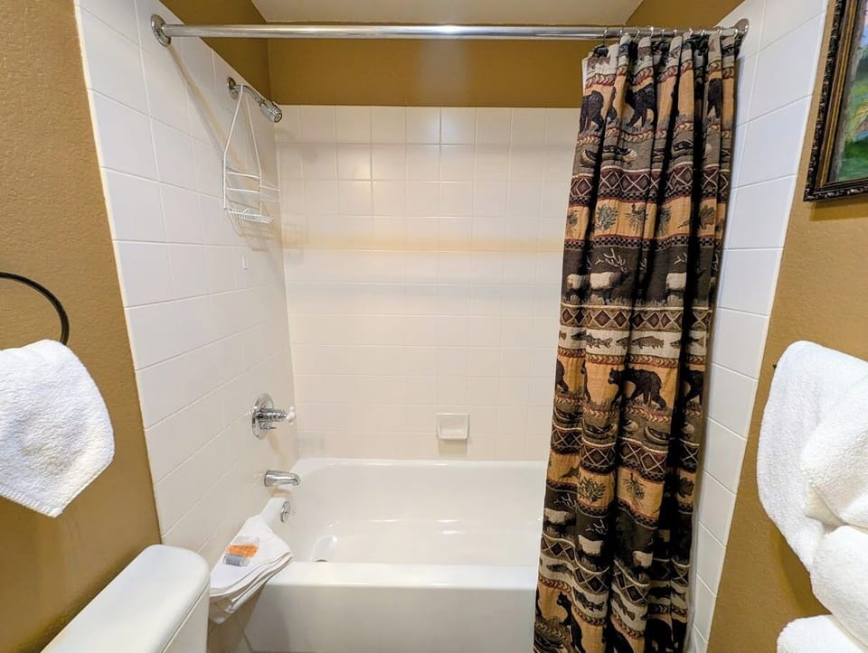 Guest bathroom - Shower / bath