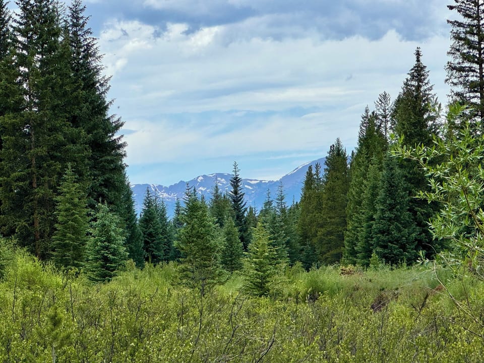 Summer Mountain Views #summer