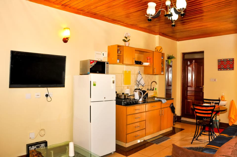 Comfort Apartment, City View | Private kitchen | Full-size fridge, microwave, stovetop, electric kettle