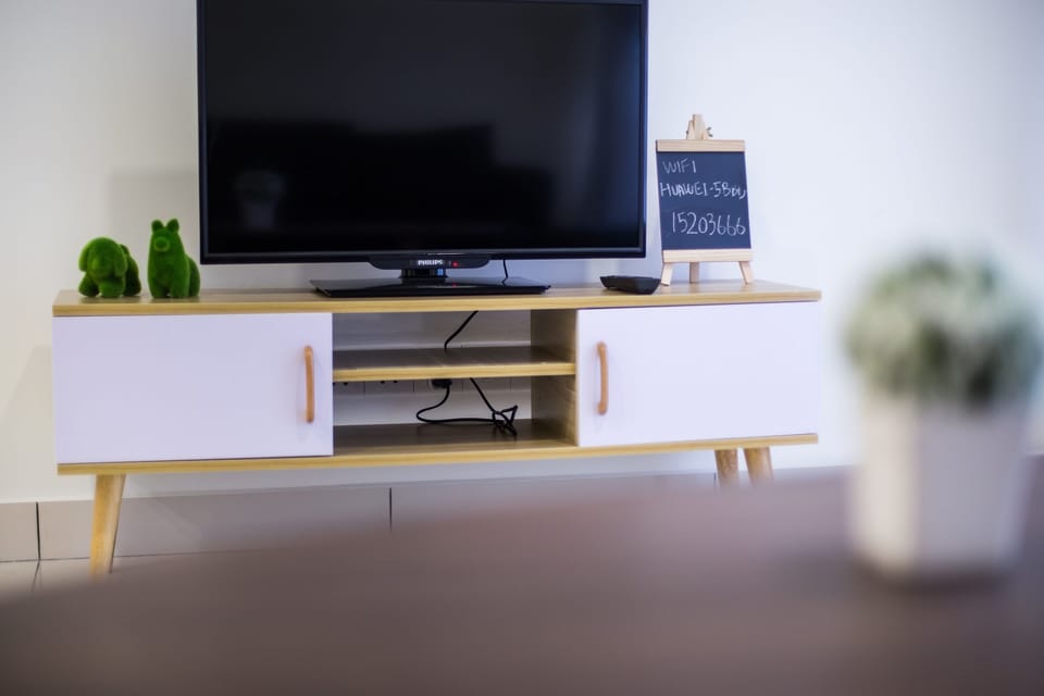 Television