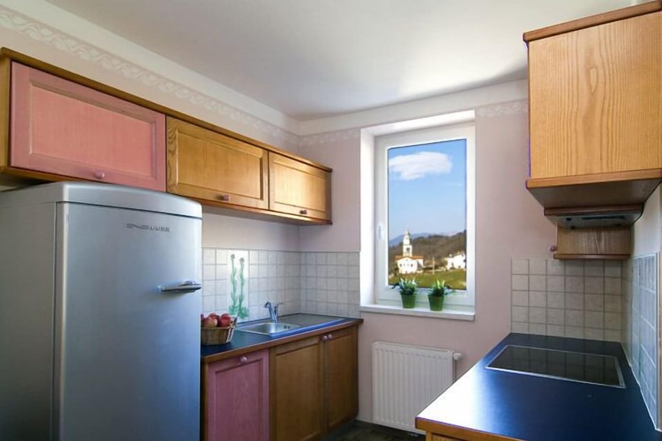Apartment Majnica | Private kitchen