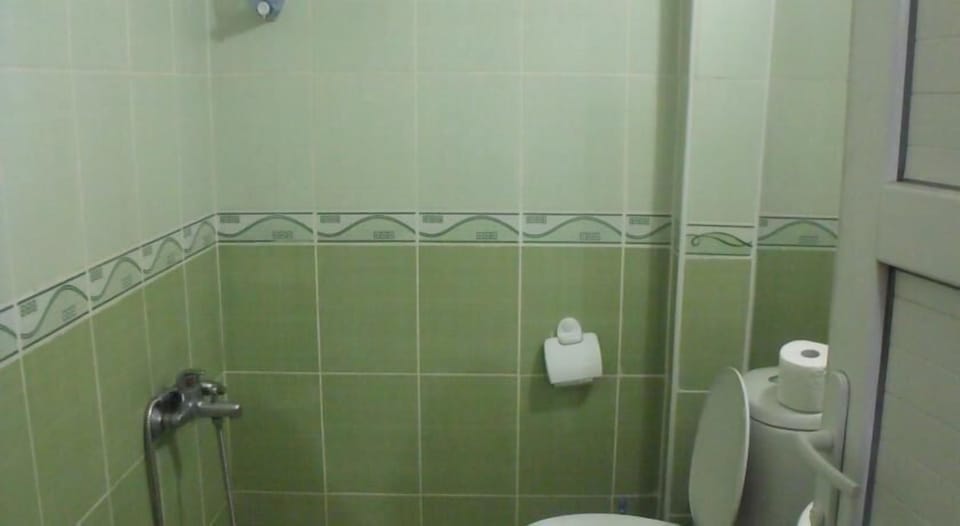 Double or Twin Room | Bathroom | Shower, free toiletries, hair dryer
