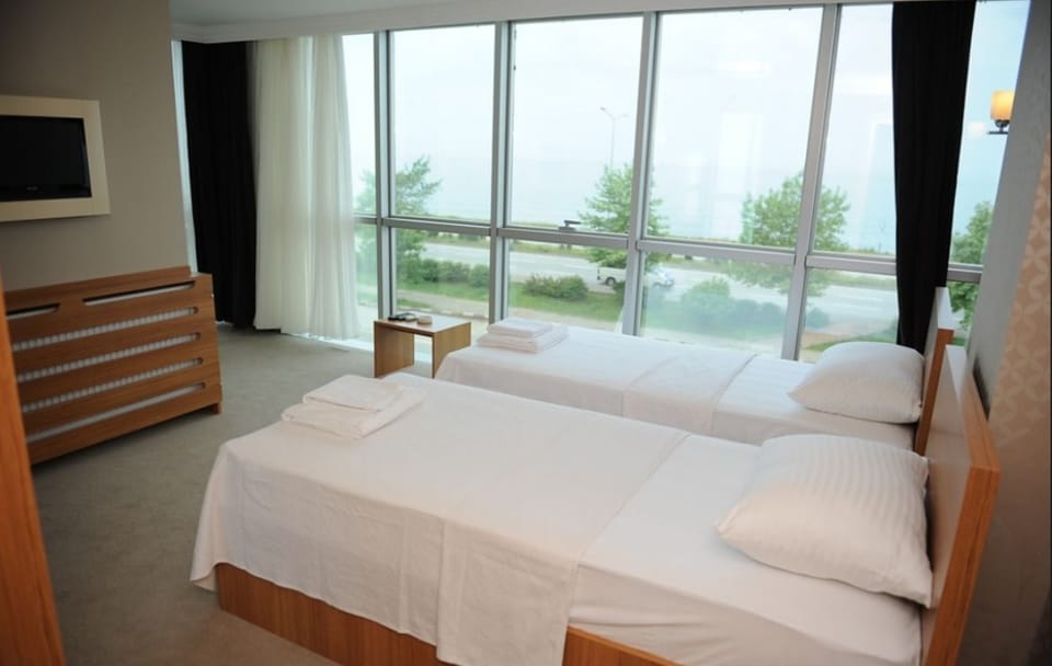 Standard Double or Twin Room | Minibar, desk, free WiFi, bed sheets