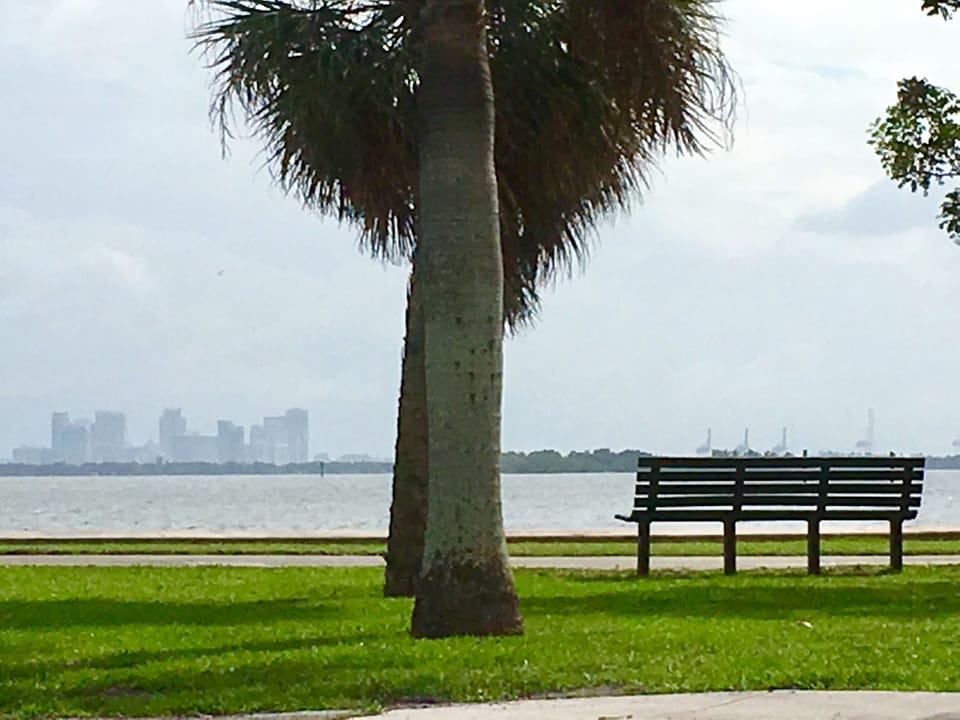 One of 2 local area waterfront parks, just a few minutes walk from the apartment
