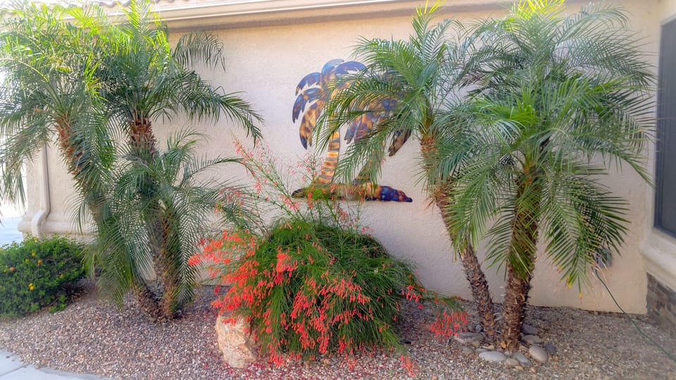Front walkway