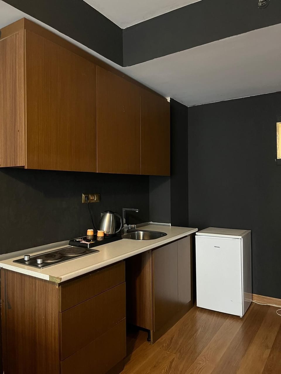 Full-size fridge, microwave, coffee/tea maker, electric kettle
