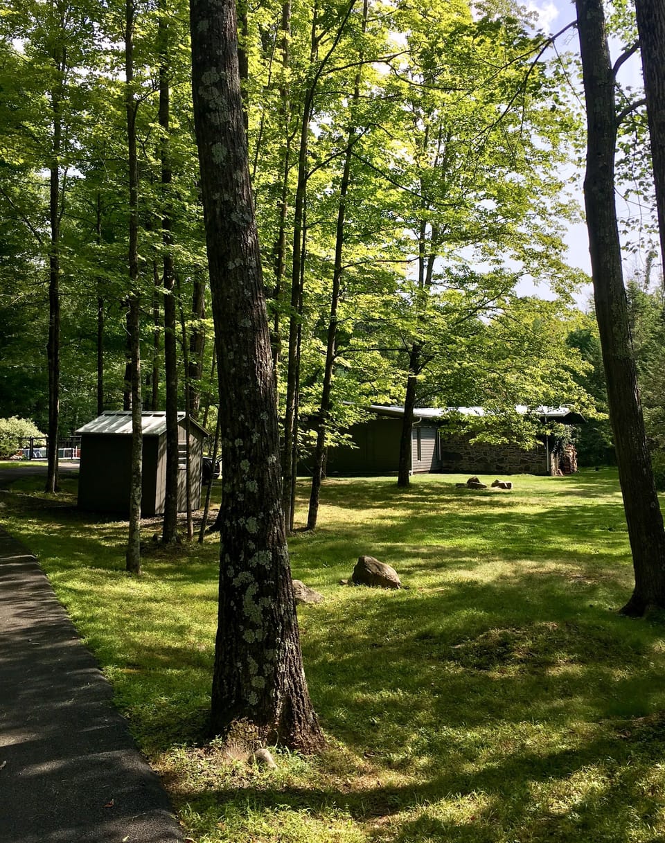 On the driveway, leading towards the house