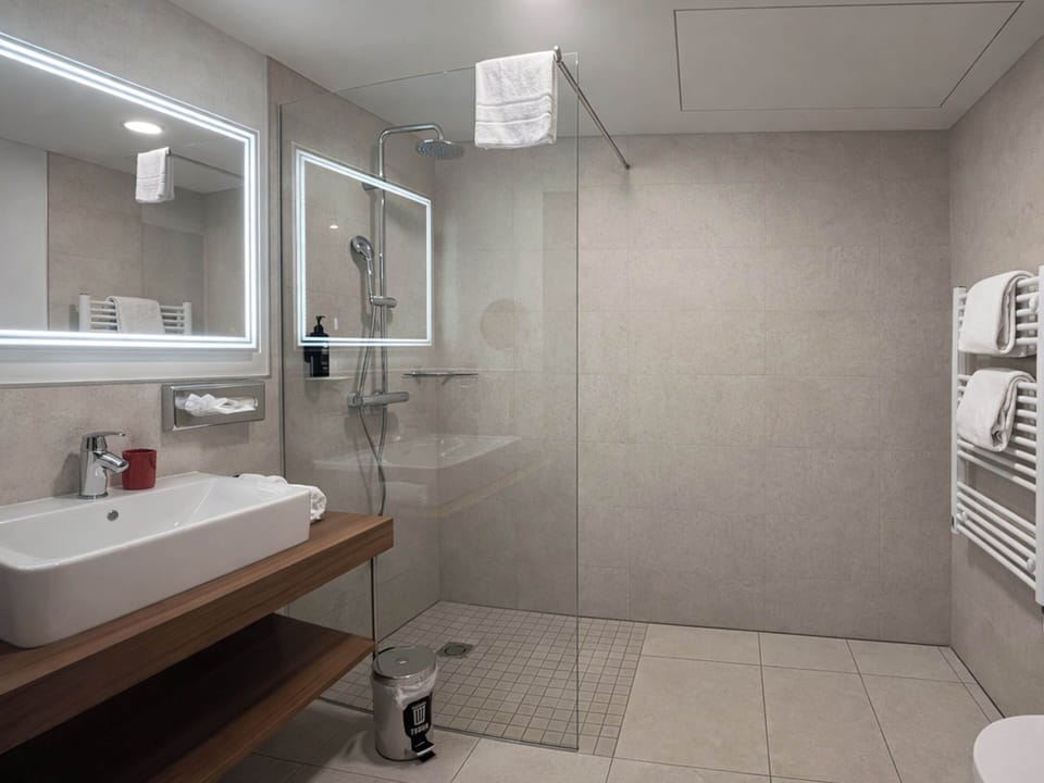 Twin Room | Bathroom | Shower, hair dryer, towels, soap