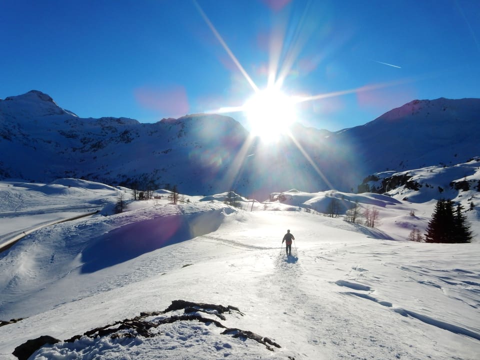 Snowshoeing