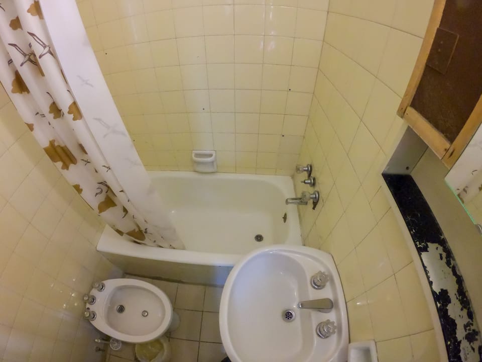 Combined shower/tub, deep soaking tub, rainfall showerhead, bidet