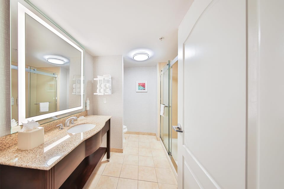 One King Bed, Non-Smoking | Bathroom | Hair dryer, towels, soap, shampoo