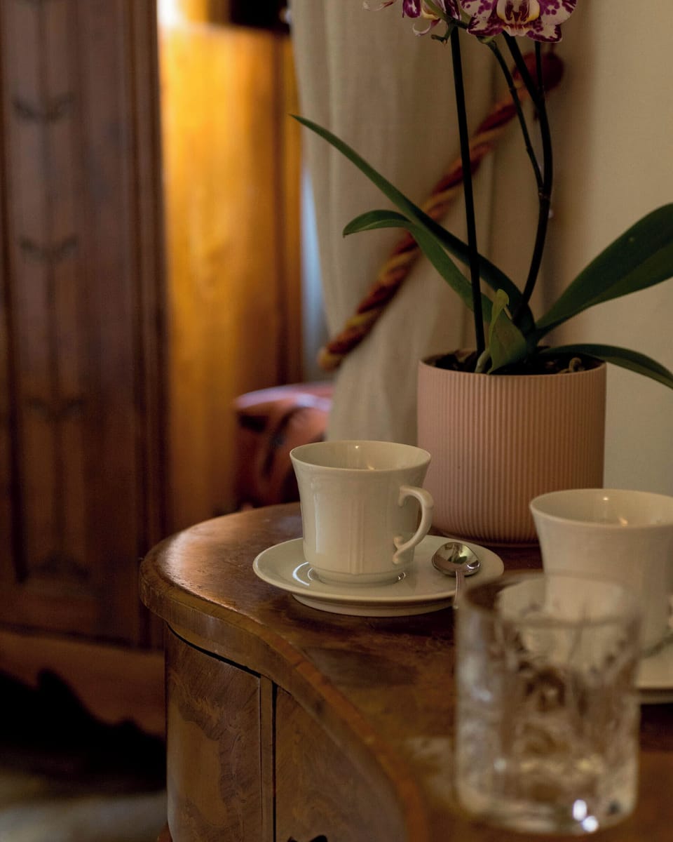 Double or Twin Room, Garden View | Room amenity