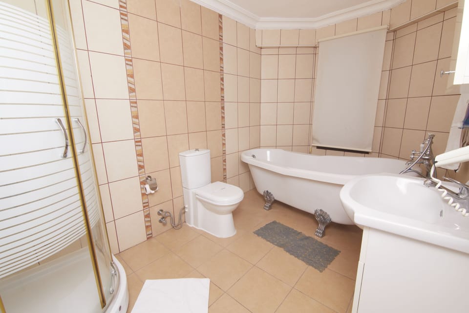 Deluxe Suite | Bathroom | Shower, hydromassage showerhead, free toiletries, hair dryer