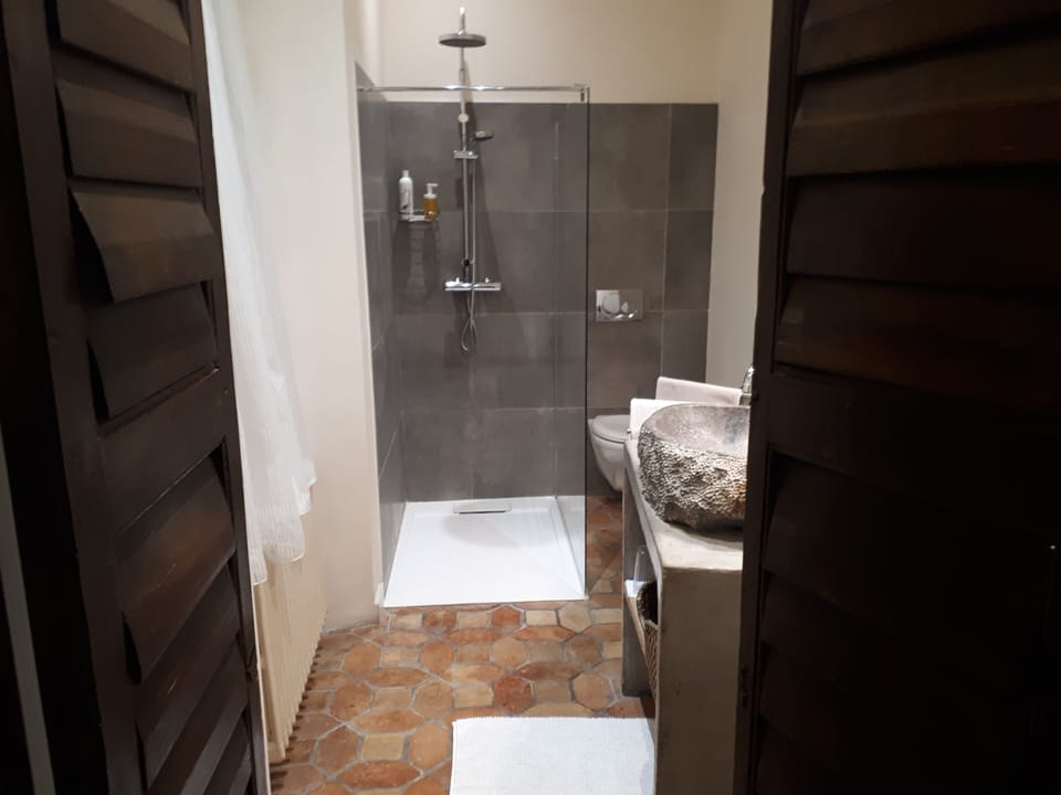 Comfort Double Room (Birdy) | Bathroom | Shower, rainfall showerhead, eco-friendly toiletries, hair dryer