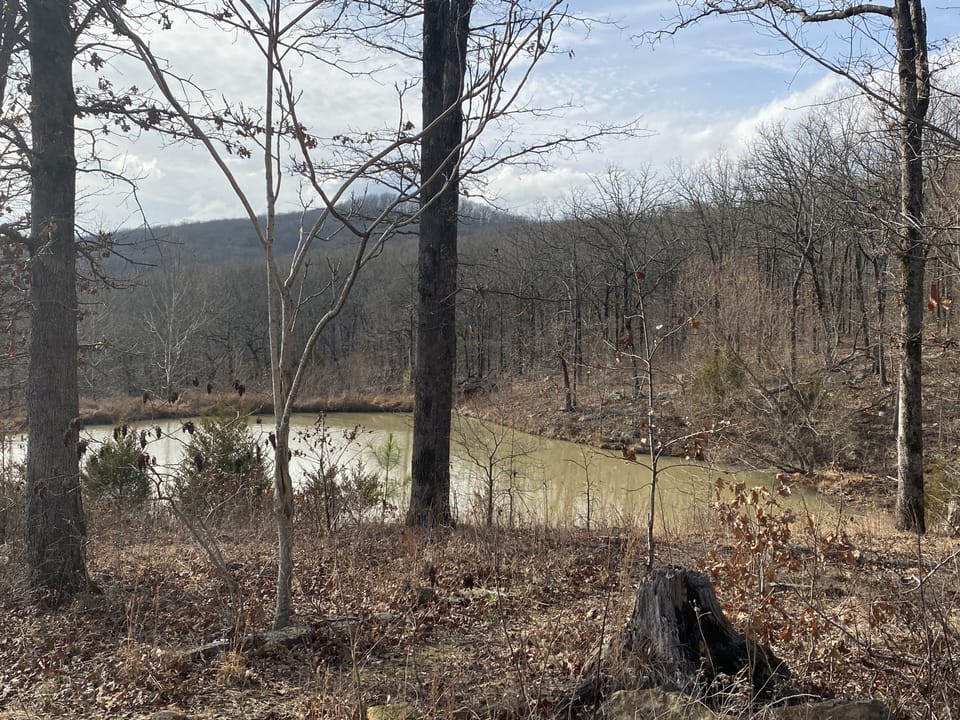 the pond in winter