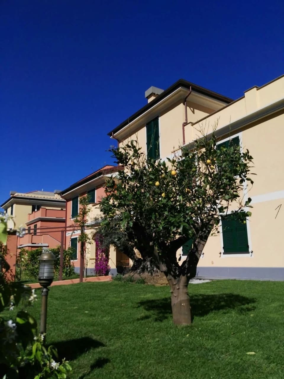 Exterior view of building