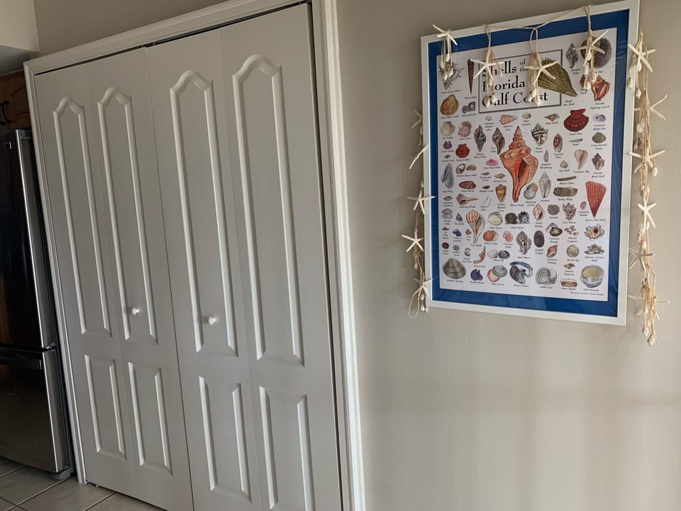 Laundry closet & FUN seashell identification poster