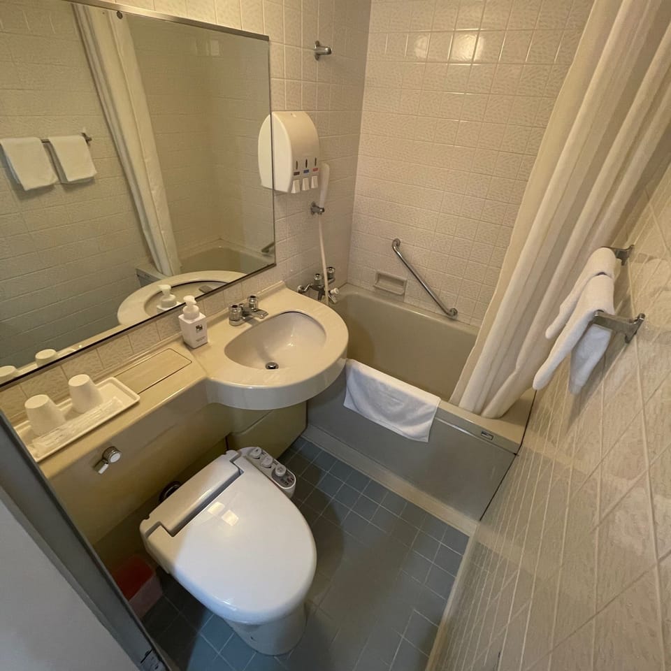 Combined shower/tub, hair dryer, towels, shampoo