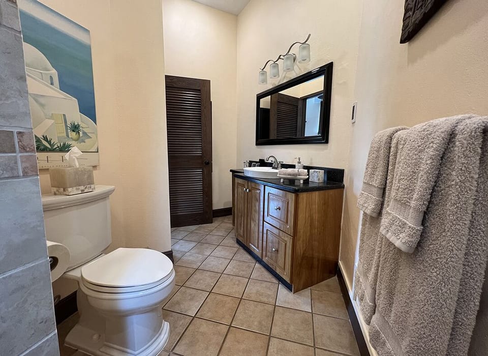 Dunes bathroom. Custom sink & tile walk-in shower, extra long mirror & prep area