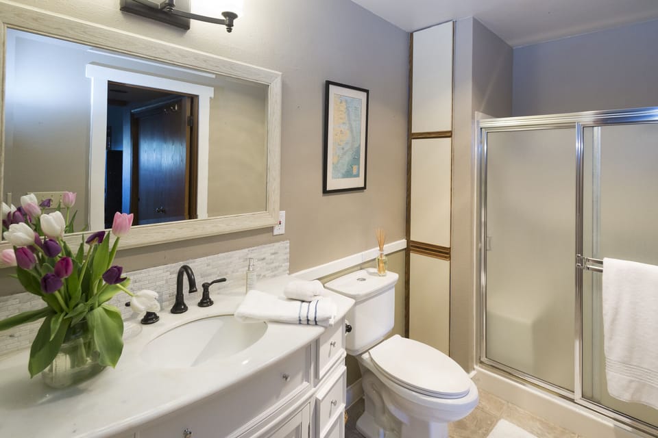 Downstairs bathroom with shower