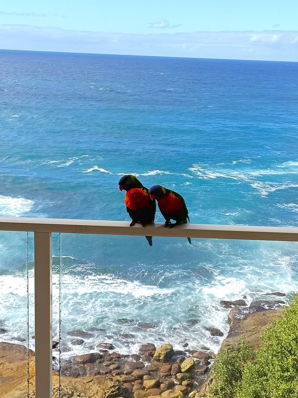 Some friendly locals
