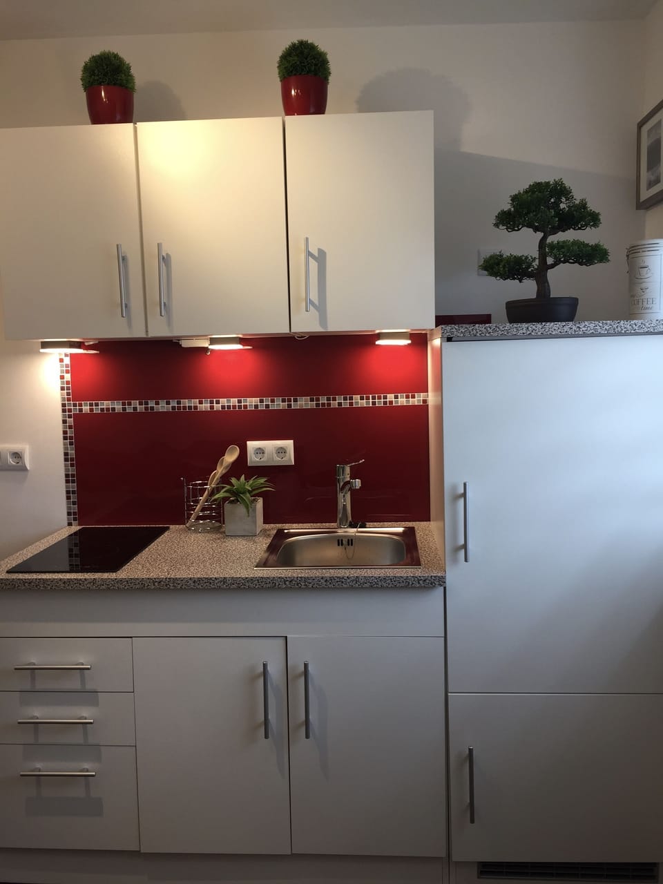 Apartment (La Marie) | Private kitchen | Fridge, microwave, stovetop, coffee/tea maker