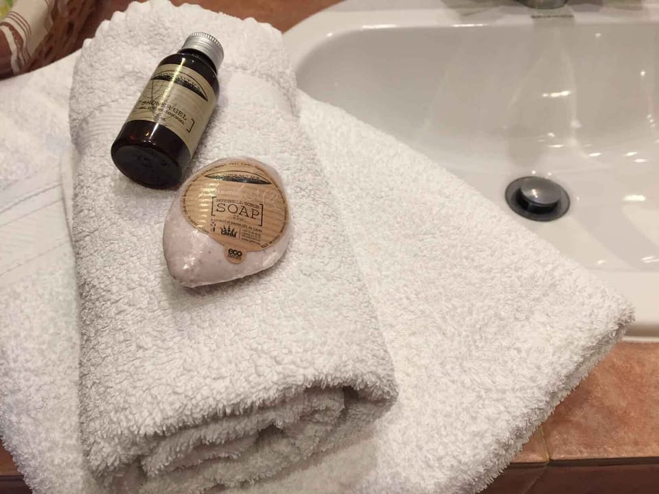 Bathroom | Hair dryer, soap, shampoo, toilet paper