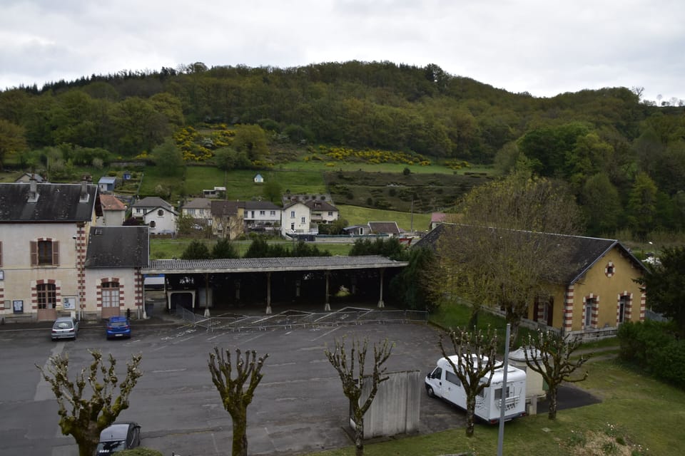 Single Room | View from room