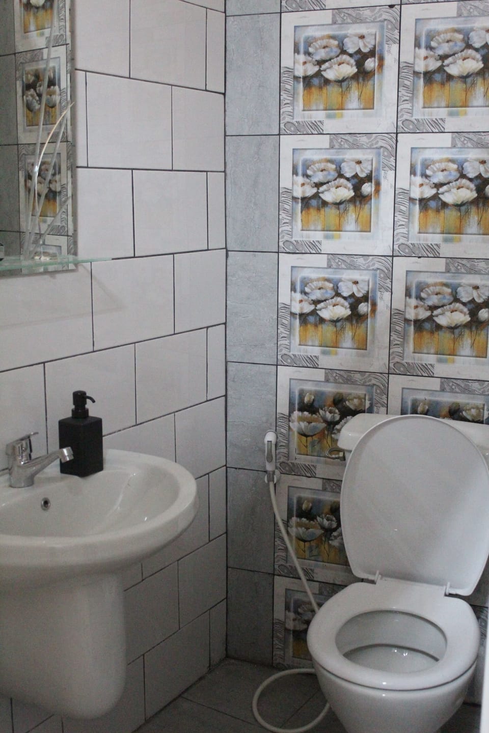 Hair dryer, bidet, soap, shampoo