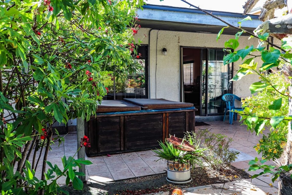 Indoors, Garden, Nature, Outdoors, House