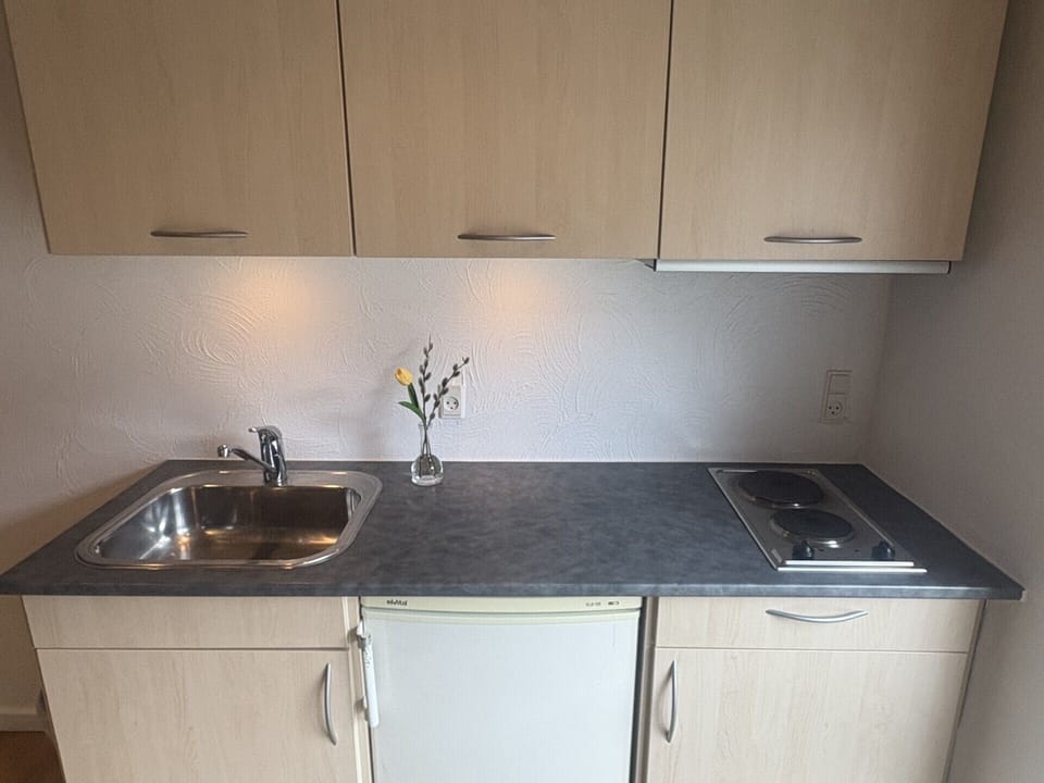 Apartment for 2 people | Private kitchen | Mini-fridge, coffee/tea maker, electric kettle, cookware/dishes/utensils