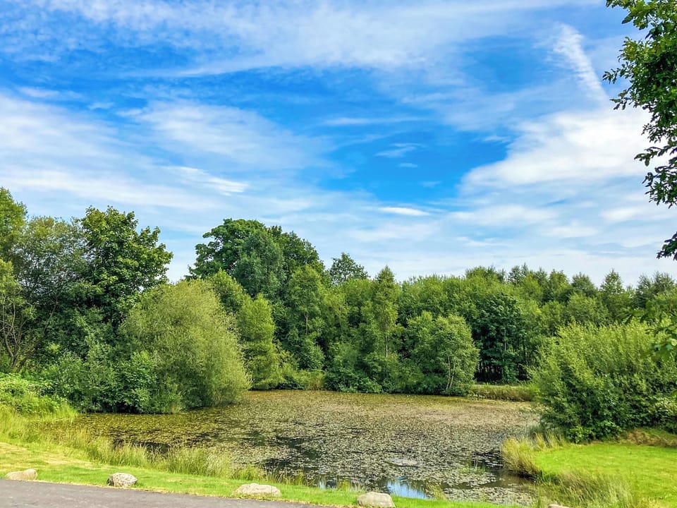 View of lake | Lakeside Lodge, near Rhayader