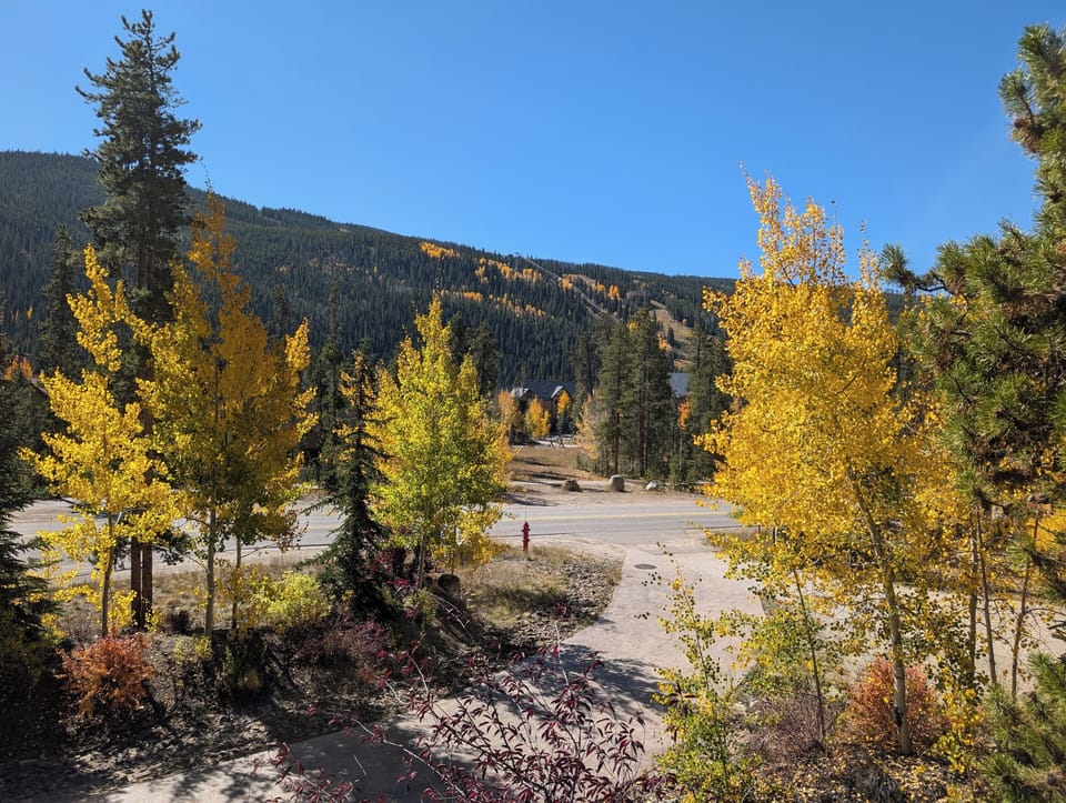 Enjoy beautiful scenery year round #fall