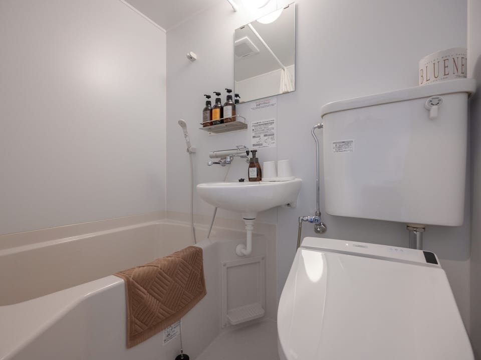Combined shower/tub, hair dryer, bathrobes, slippers