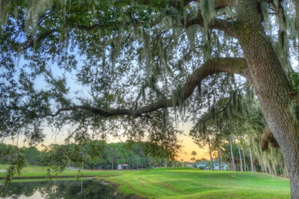 "FREE" - (1) Cypress Head Golf admission included DAILY!