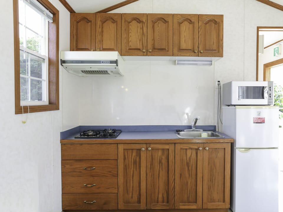Fridge, microwave, stovetop, electric kettle