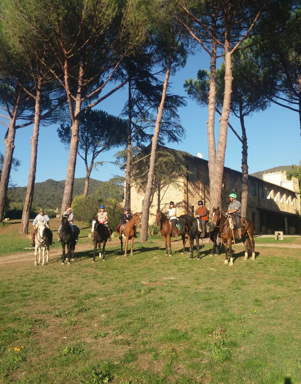 Horseback riding