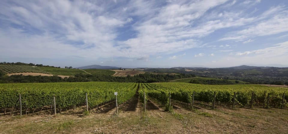 Flat in a winery in Montespertoli, A/C,Wi-Fi, swimming pool,children friendly,Ca Apartment in Tuscany